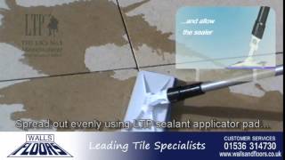 How To Fix And Seal Limestone Tiles [upl. by Natala]