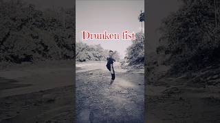 Drunken fist kungfu martialarts wushu [upl. by Haye]