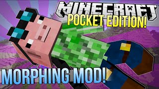 Minecraft Pocket Edition  MORPHING MOD  Mod Showcase [upl. by Sianna]