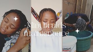 How to maintain mini braids for length retention daily maintenance styling and wash day 4c hair [upl. by Sherman]