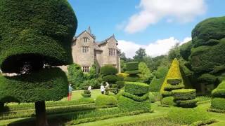 Allotment Diary  Levens Hall World Famous Topiary Gardens [upl. by Refannej726]