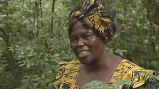 Wangari Maathai Tribute Film [upl. by Mair]