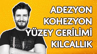 Adezyon Kohezyon Yüzey Gerilimi ve Kılcallık  Gösteri Deneyleri  Madde ve Özellikleri  PDF [upl. by Ynnol220]