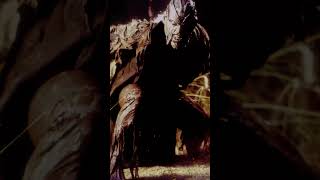 Jeepers Creepers Short Bio hauntedhalloween scary JeepersCreepers horrorstories [upl. by Acemat86]