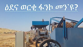 ዕደና ወርቂ ፋንኮኤርትራ  Fanco Gold Mining Eritrea [upl. by Atiekahs627]