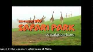 The San Diego Zoo Safari Park Tour [upl. by Erdried]