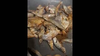 SARAP SINANGAG NA SAPSAP NA ISDA 😋 PINOY FOODS SHORTVIDEOSUBSCRIBES TIKAL AMOGID [upl. by Notsgnal]