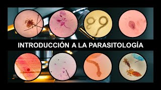 INTRODUCCIÓN A PARASITOLOGÍA Generalidades clasificación tipos de huéspedes y mecanismos de daño [upl. by Tuppeny99]