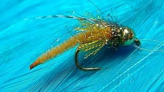 Tying a Detached Bodied Caddis Pupa with Davie McPhail [upl. by Deerc517]