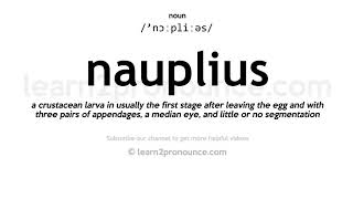 Pronunciation of Nauplius  Definition of Nauplius [upl. by Enyahs]