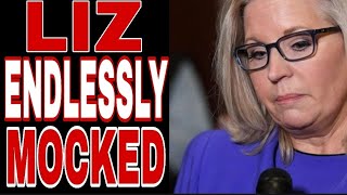 LIZ CHENEY HILARIOUSLY MOCKED ON TWITTER [upl. by Ahcsim]