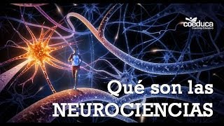 ¿Qué son las Neurociencias [upl. by Squier629]