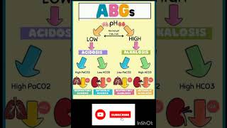 Acidosis and Alkalosis [upl. by Varini]