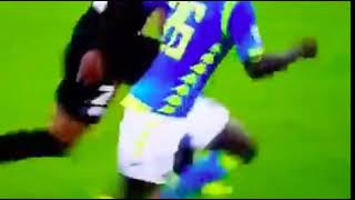 GLI EFFETTI DI KOULIBALY SU ADANI E TREVISANI [upl. by Kirimia]