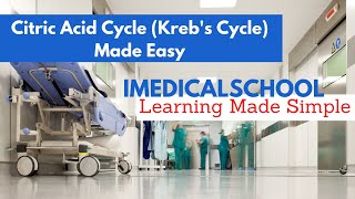 Citric Acid Cycle Krebs Cycle Made Easy [upl. by Butterfield]