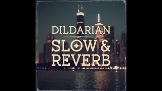 Amrinder Gill I Dildarian I SLOW amp REVERBMP4 [upl. by Piotr]