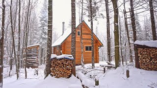 Building A Log Cabin  Ep 65  Finally a cozy place to relax in a snowstorm Winter Cabin Life [upl. by Anthony216]