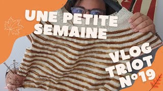 Vlog tricot  Ep 19  Une petite semaine [upl. by Trilby943]