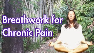 Soothe Your Nervous System amp Chronic Pain  Breathwork Session [upl. by Ardnaek]