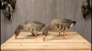 Speck Full Body Goose Decoy Comparison II [upl. by Klecka]