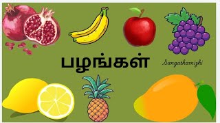 Fruits name பழங்களின் பெயர்கள் 🍓🍎🍉🥭🍍🍋🍌sangathamizhi [upl. by Inna200]