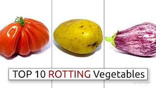 Top 10 Rotting Vegetable Timelapses [upl. by Danby]