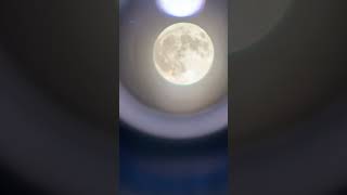 September 17 full moon astrology astrophotography moon fun fypシ゚ fyp telescope fullmoon [upl. by Burr266]