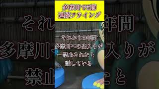 【5節連続フライング】多摩川で伝説を作ってしまった！ボートレース 競艇 shorts [upl. by Cuthbertson]