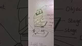 Microscope Diagram ytstudioes viralshort youtubechannels art [upl. by Ynaffit]