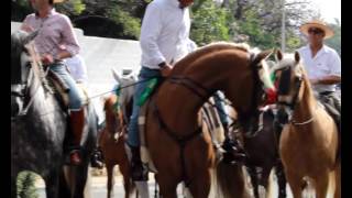 ROMERIA DE SAN BERNABÉ 2017 [upl. by Autumn283]