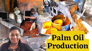 How To Make Palm Oil  Palm Oil Production Process in Cameroon  Processing Plant [upl. by Fishman]