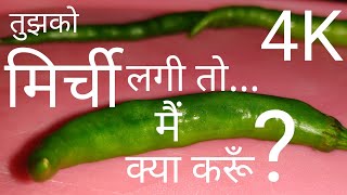 Tujhko Mirchi lagi to main kya karu [upl. by Auod]