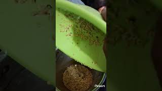 Mung ki Daal ka Halwa recipe 😋 😍 Suzenlayba [upl. by Walton]