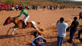 Corrida de Cavalos  Elizeu Martins 2024 [upl. by Coke400]