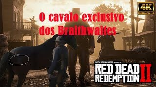 RDR2 Como obter o Cavalo Exclusivo dos Braithwaites [upl. by Antonino185]