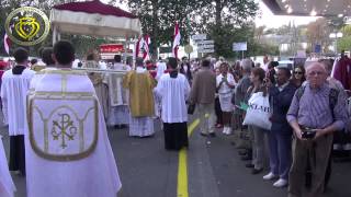 La FSSPX à Lourdes [upl. by Nahc]