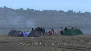 Camping at National Chambal Gharial Wildlife Sanctuary [upl. by Augie600]