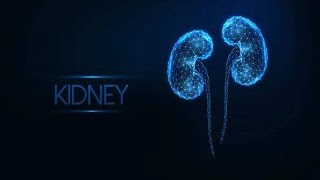 Kidneys [upl. by Haye]