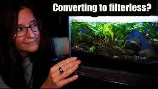 Converting a Tiny Tank to Filterless NO TECH [upl. by Adaynek]