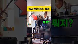 보고도 믿지못할 장면 이게 무슨소리지 클래식 피아노 piano 일미터클래식 music 즐거운영상 [upl. by Suiluj]