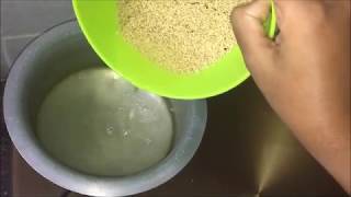 foxtail millets cooking  foxtail millets rice  foxtail millets recipes  korralu annam [upl. by Russell961]