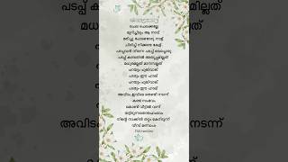 Nee Chechalakkale Lyrics✨ love safamusthafa shortsfeed trending shorts lyrics [upl. by Rettke662]