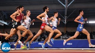 Mens 3000m  2019 NCAA Indoor Track and Field Championship [upl. by Antonietta]