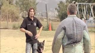 Cesar MILLAN Encantador de PERROS [upl. by Irrak1]