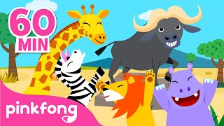 Animlales de la Selva  ¡Hola Búfalo Recopilación  Pinkfong Canciones Infantiles [upl. by Aical]