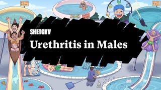 Urethritis in Males Lesson Part 1  Sketchy Medical  USMLE Step 2 CK [upl. by Anela800]