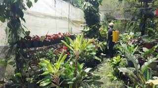 Foliar Application of Herbicide [upl. by Diver]