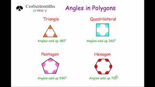 Angles in Polygons  Primary [upl. by Plusch999]