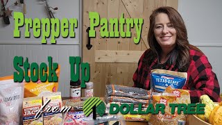 Budget Prepper Pantry Stock Up from Dollar Tree  Preparedness [upl. by Lilithe]