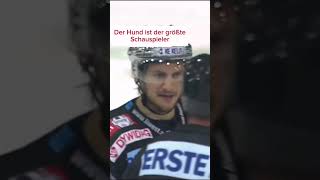 Eishockey Matschstrafe nach schauspielerei 😂 eishockey hockeyhighlights hockey highlights [upl. by Slavic]